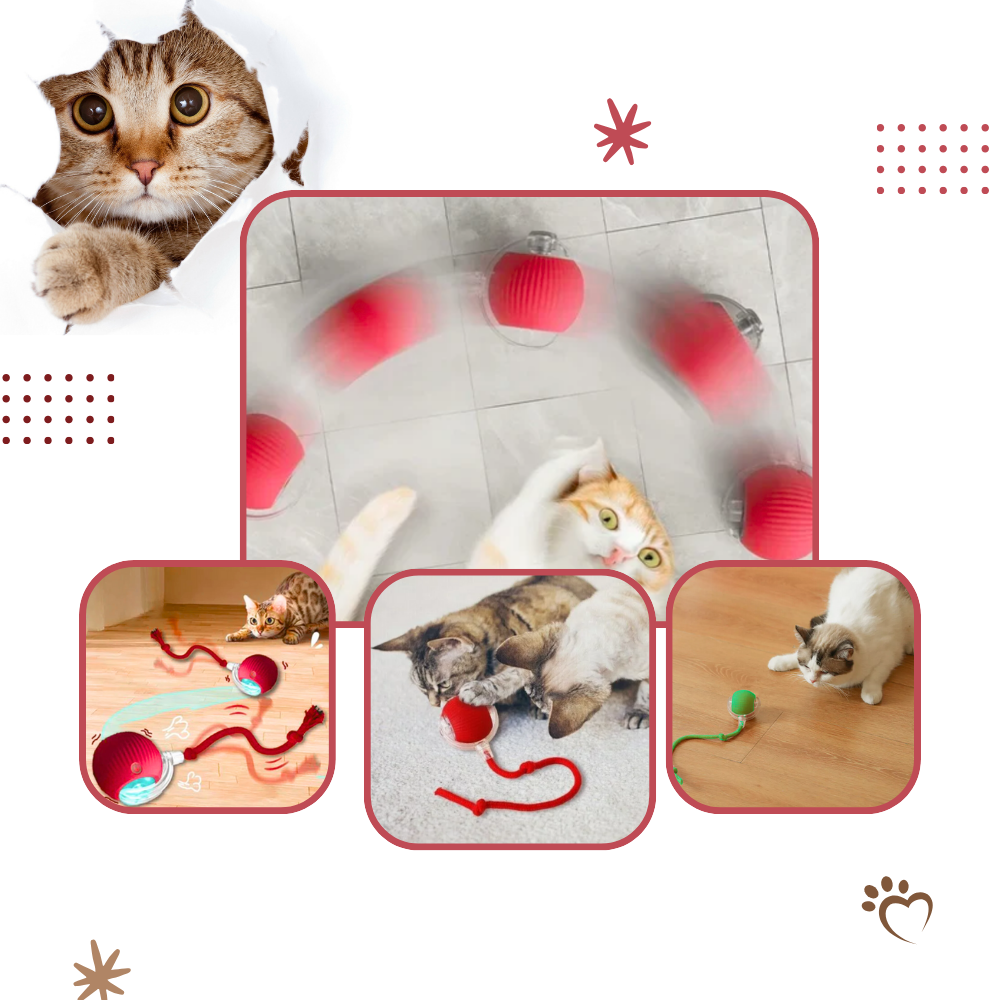Smart Interactive Cats Ball Toy - Ozerty