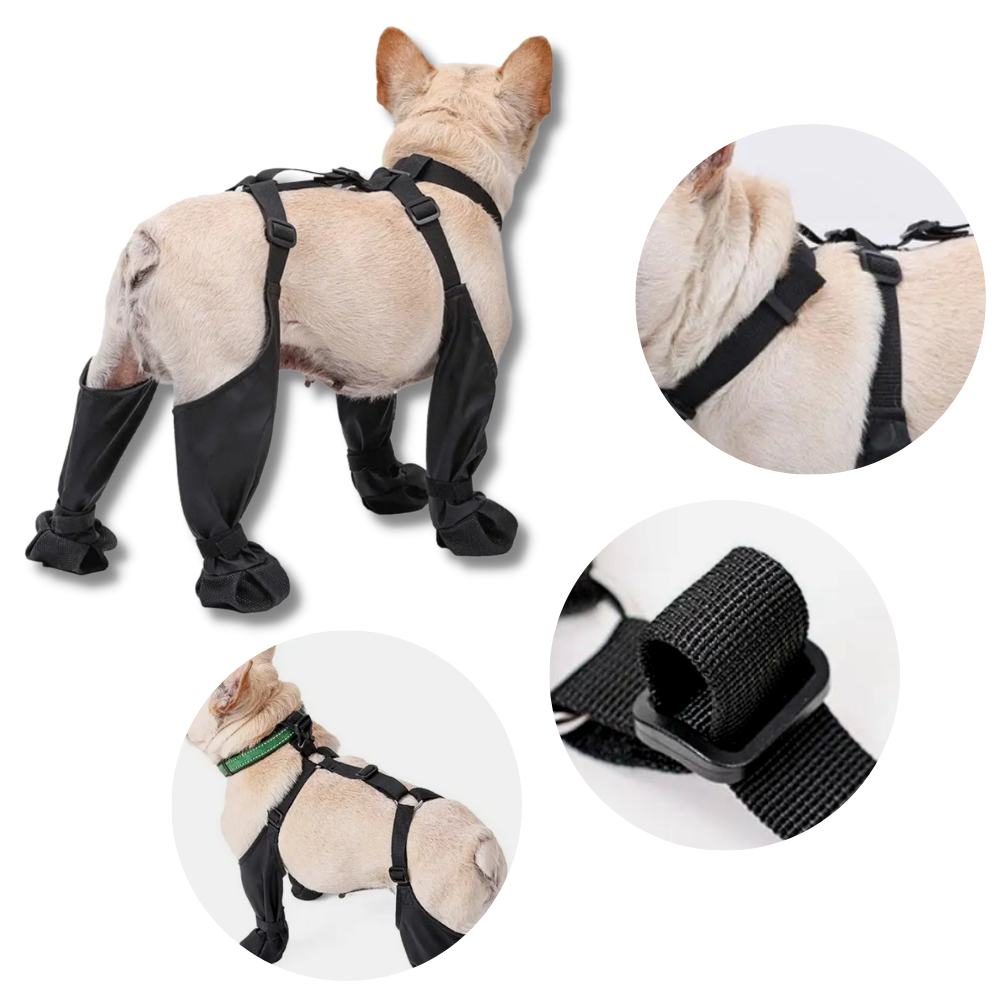Waterproof Dog Suspenders Boots - Ozerty